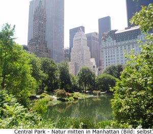 Central Park Natur New-York Manhattan